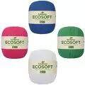 ecosoft (1)
